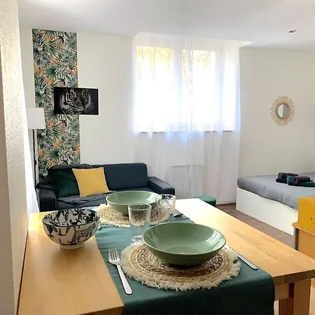 Apartament F1 Equipe Proche Tram - Jungle *