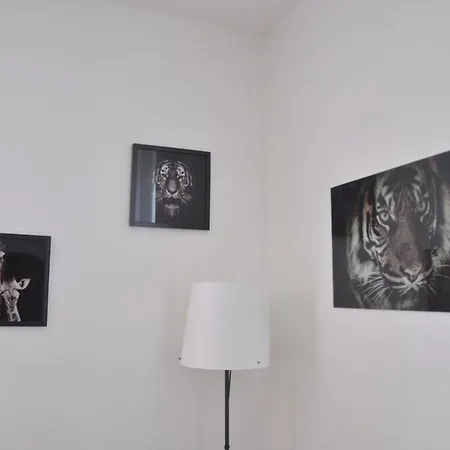 F1 Equipe Proche Tram - Jungle 뮐루즈